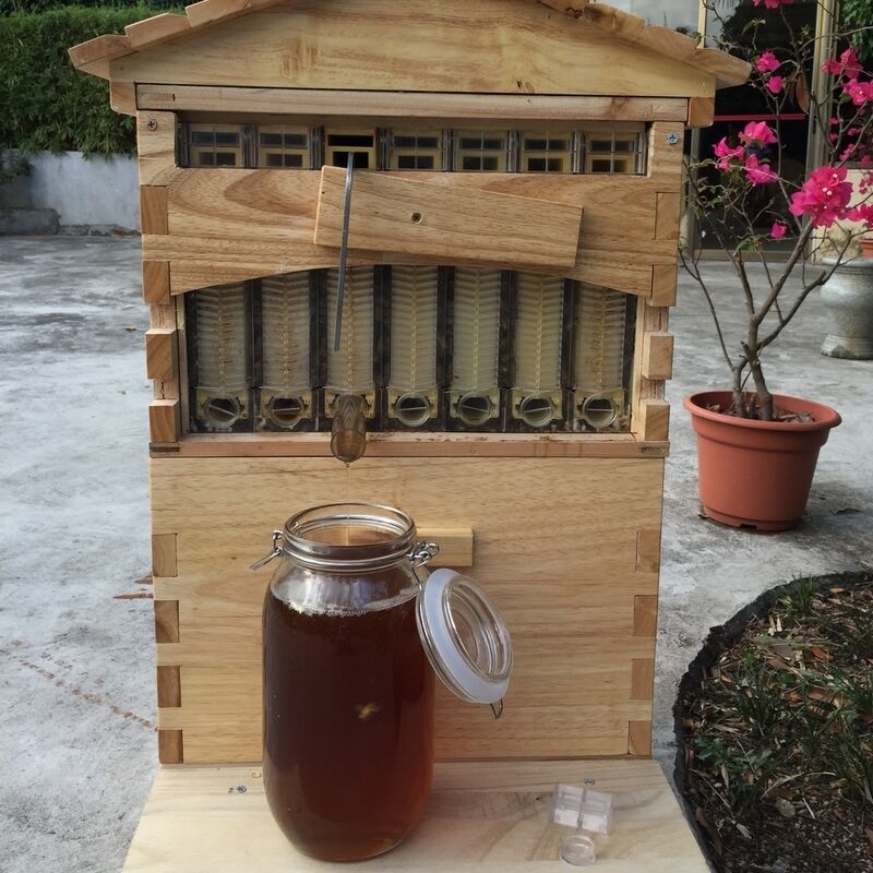 thumbnail 25  - Upgraded Honey Hive Beehive Frame Bee House Beekeeping Brood Cedarwood Box USA