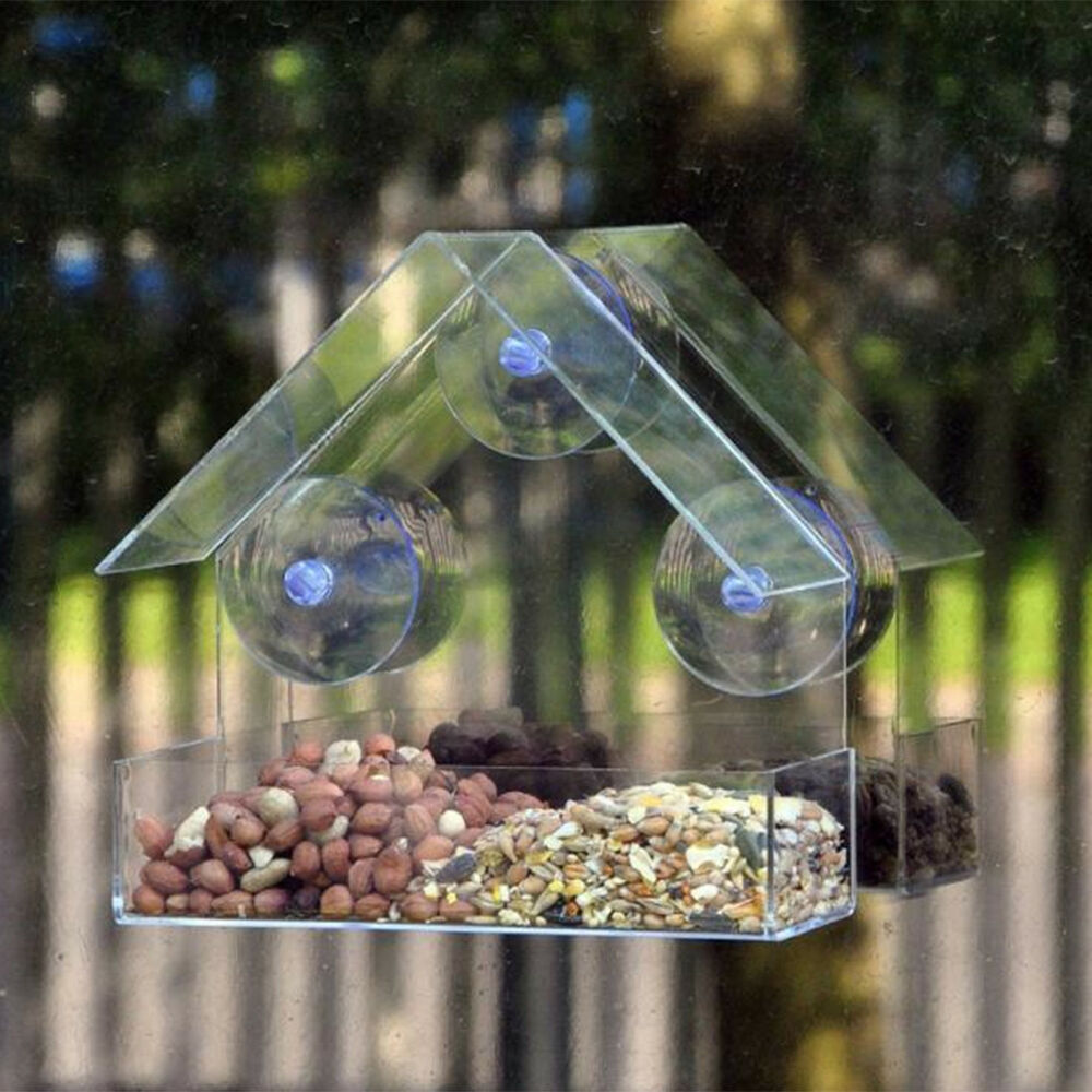 suction cup platform bird feeder