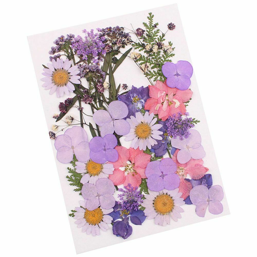 Pressed flower mixed organic natural dried flowers diy art floral decors gift TW 