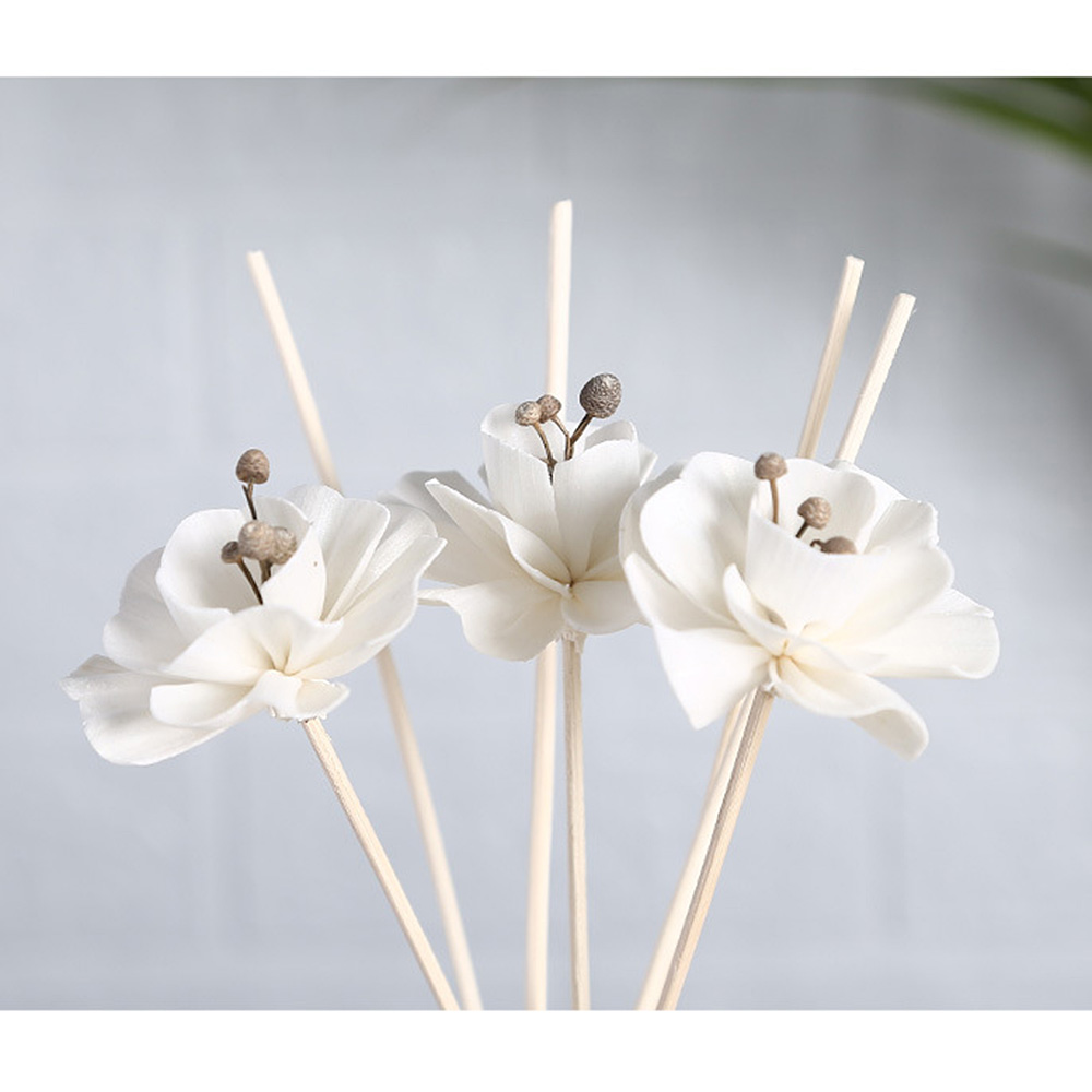 Dried Flower Rattan Fragrances Diffuser Sticks Reed Replaceable Aroma Home Decor 