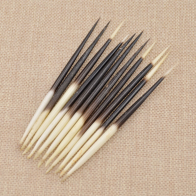 5 1/2" Porcupine Quills-Crafts-Fishing Bobber-US Seller 5 Pcs.Sm 4 1/2" 
