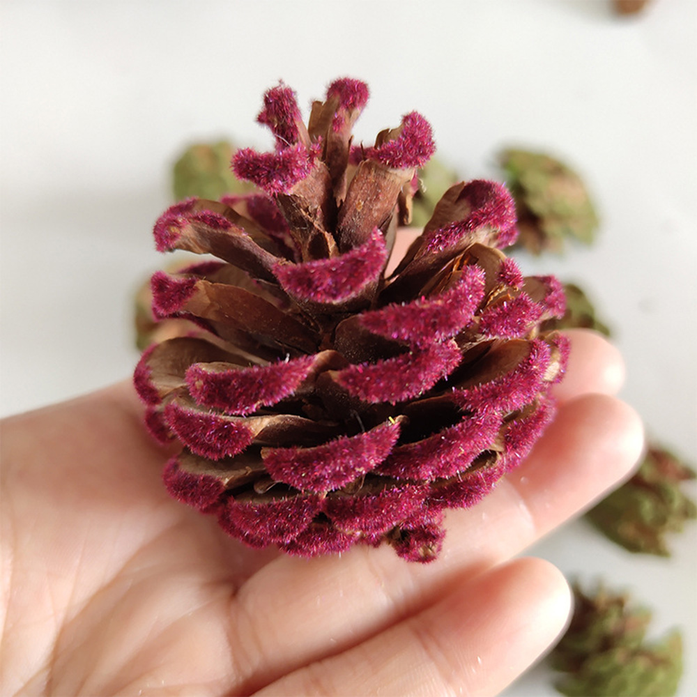 Pine cone with Dried Florals DIY Kit, Herbal, Botanicals | Seasonal Decor