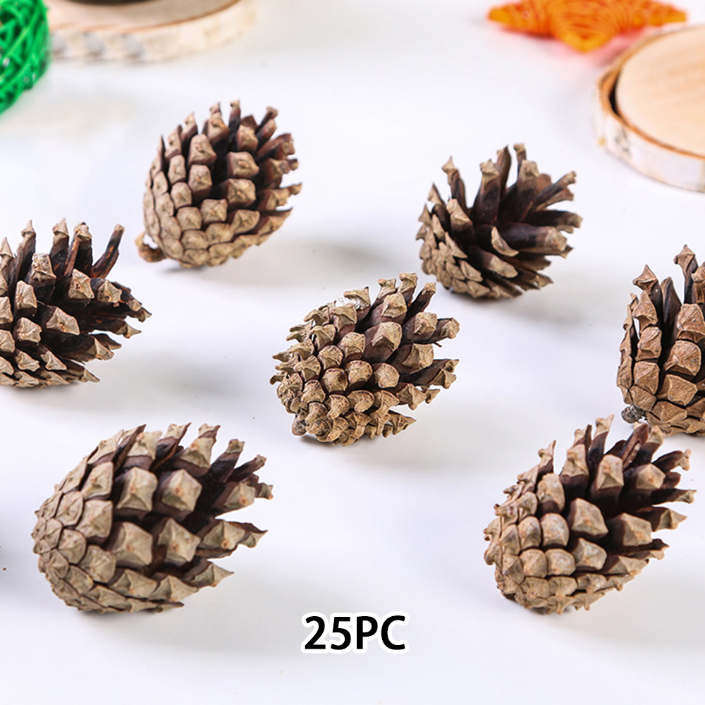 20Pcs Fake Pine Cone Innovative Convenient Mini DIY Realistic Fake Pinecone  Artificial Pine Cone for Indoor