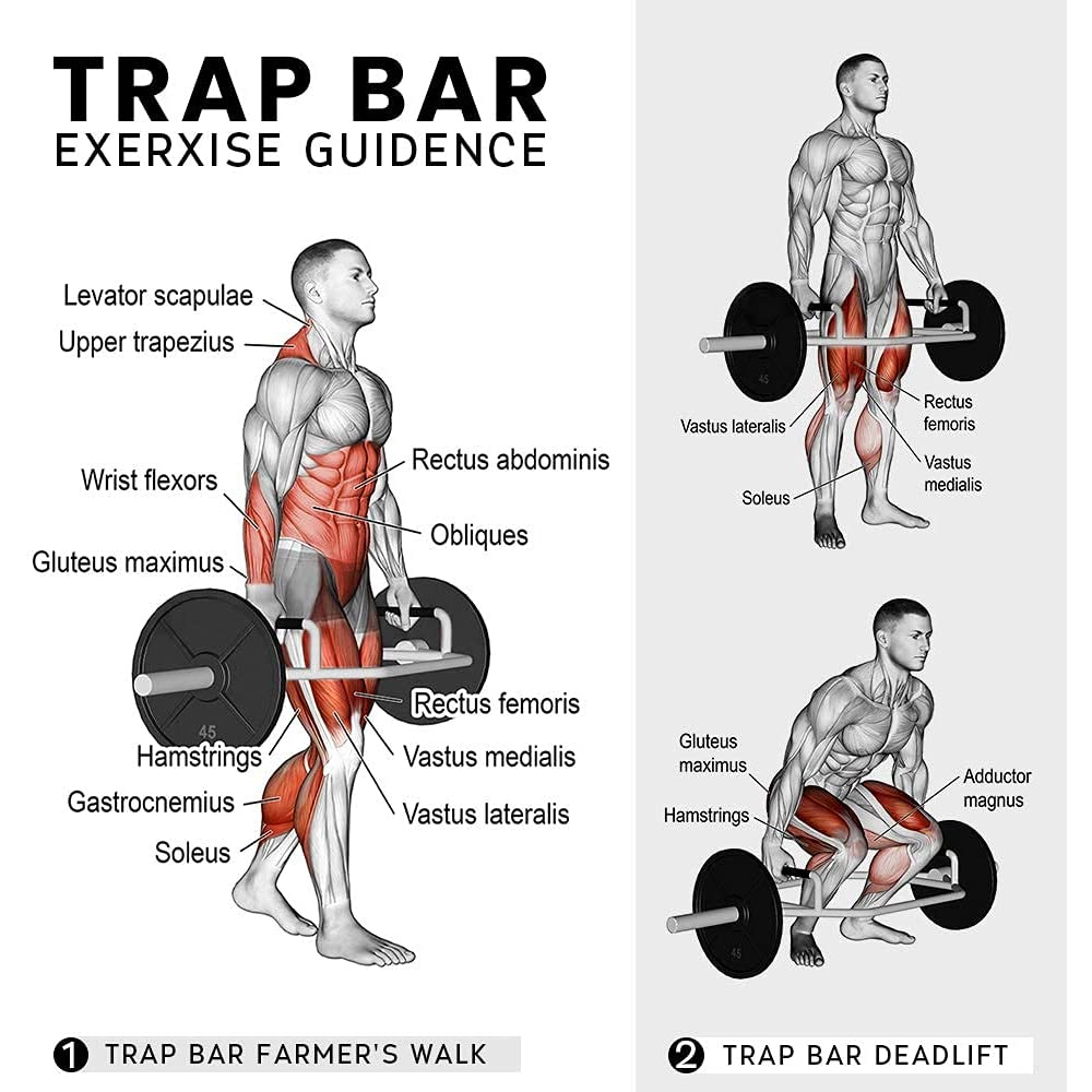 Incline barbell curl. Barbell перевод. протяжка штанги на дельты. Jordan 260 deadlift. Barbell bent rows.