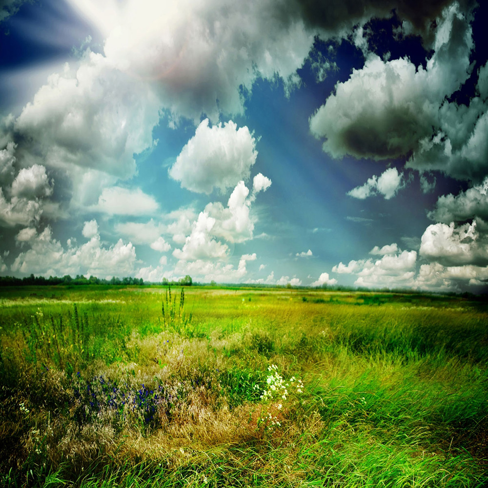 New Photo Backdrop Photography Printed Background Shooting Studio Background USA - Picture 50 of 59
