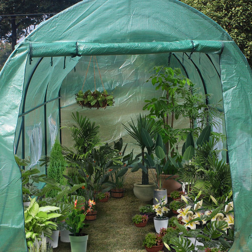 Greenhouse Plant House Shed WalkIn Garden Dome Planting