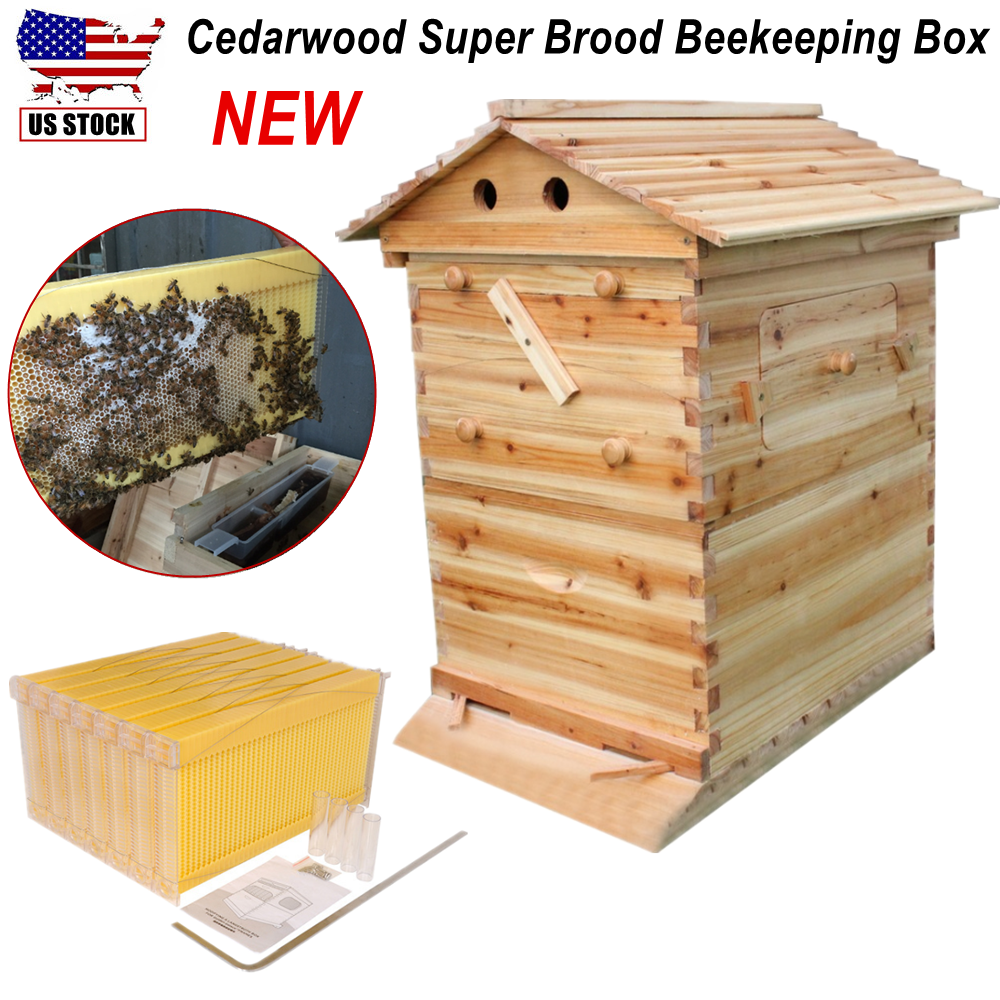 7PCS Free Flowing Honey Hive Beehive Frames + Unique Beehive House Cedarwood Box