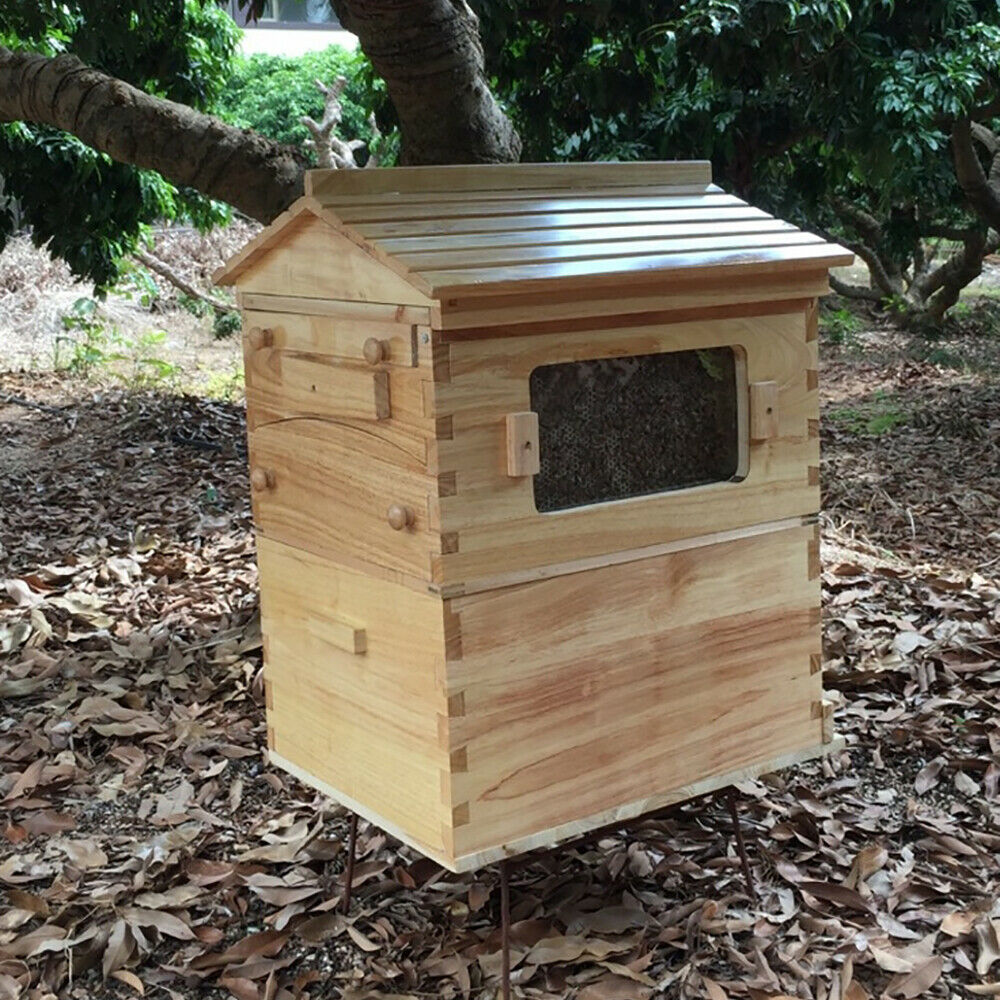 7x Auto Flowing Honey Hive Beehive Frames Beekeeping Brood Bee Hive Wooden Box Ebay