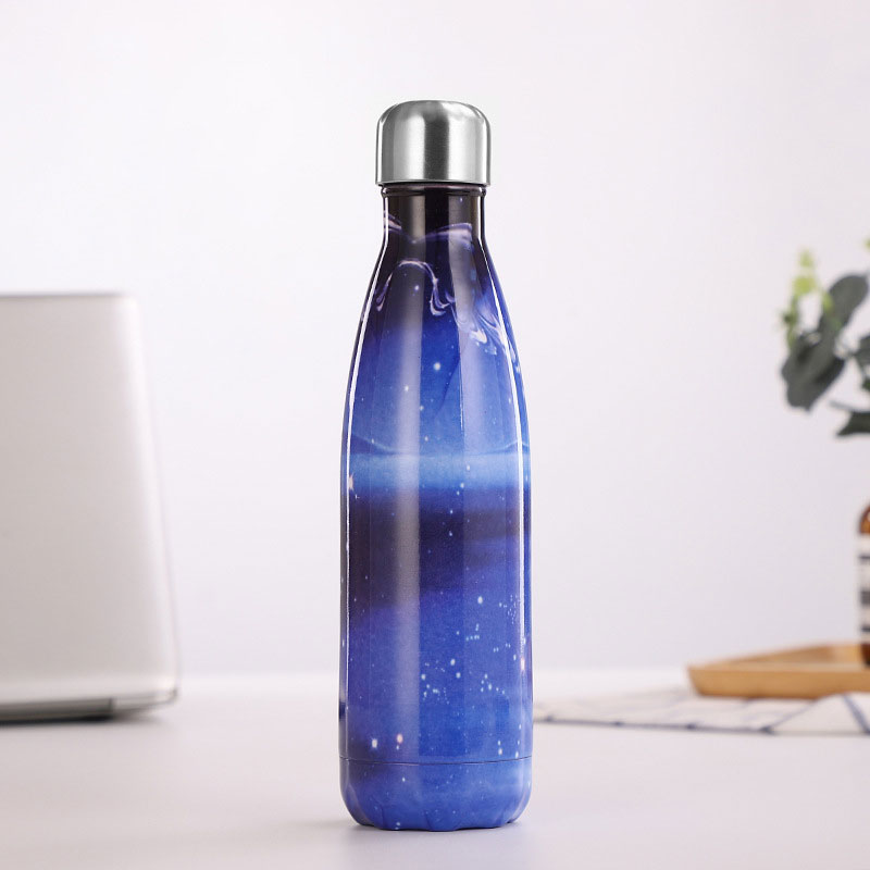 Vacuum Insulated Stainless Steel Water Bottle Double Walled Drinking Details about   500ML 17oz 