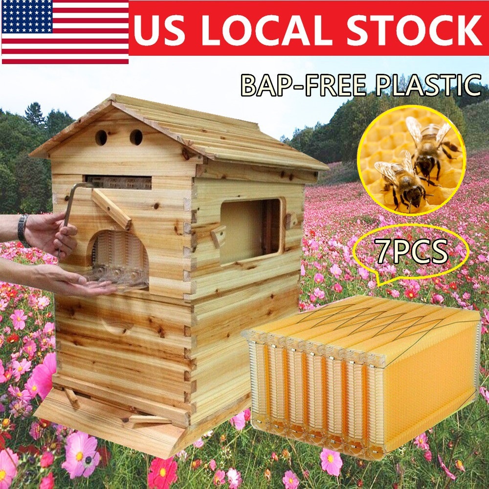 Beekeeping 7X Auto  Honey Beehive Hive Frames US Cedar wood Super Brood Box 