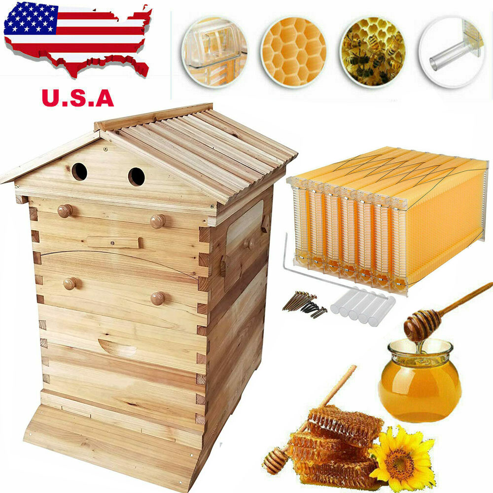 7xAutomatic Honey Bee Hive Frames Cedarwood Super Beekeeping Brood House Box 