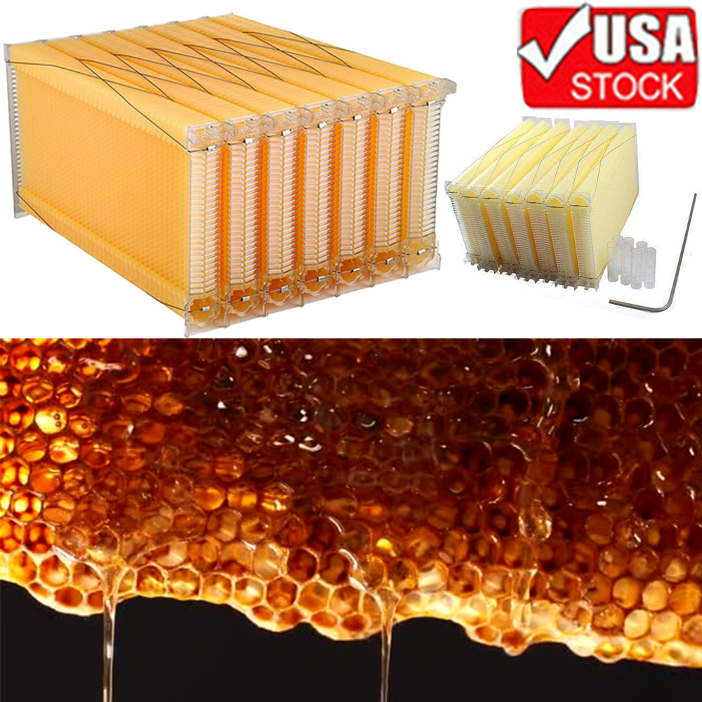thumbnail 14  - 7 Pieces of Honeycomb Honey Frame + Super Beekeeping Brood Frame Wooden House US