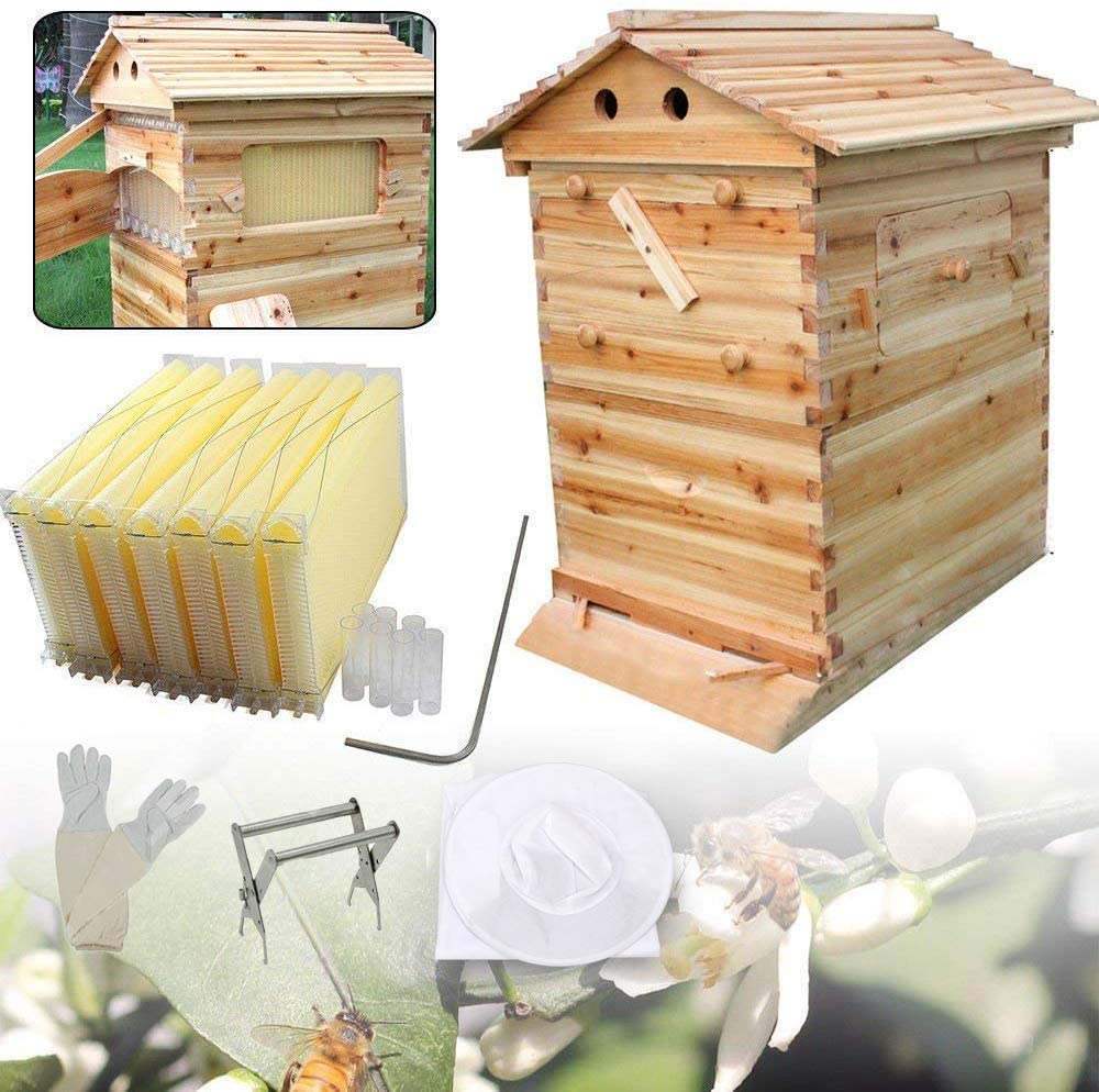 thumbnail 17  - 7 Pieces of Honeycomb Honey Frame + Super Beekeeping Brood Frame Wooden House US