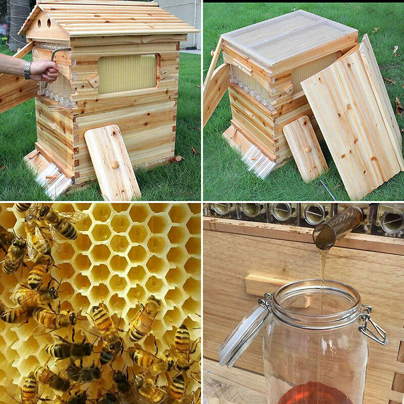 7Pcs Auto Honey Hive Frames Upgraded +Beekeeping Beehive Brood