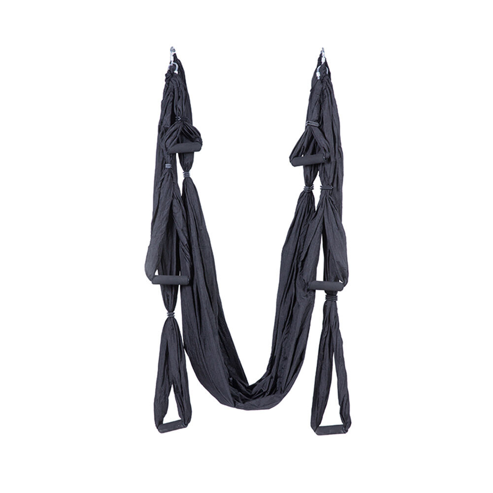 EUROSPORTS High Load Capacity Aerial Yoga Swing/Inversion/Hammock/Sling for  Flying Antigravity with a Carrying Bag