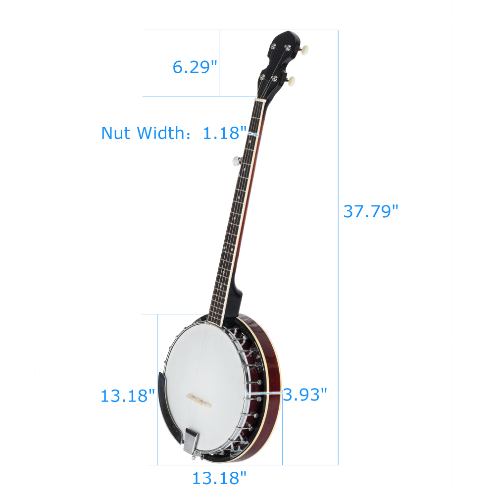 best 5 string banjo for beginners