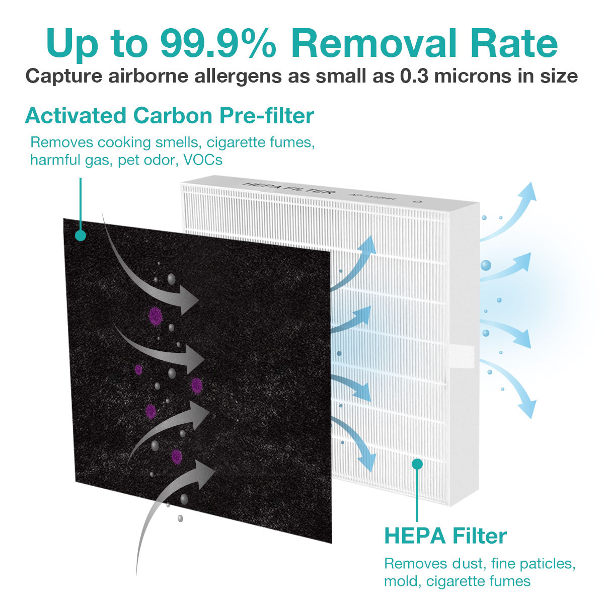 coway hepa filter micron
