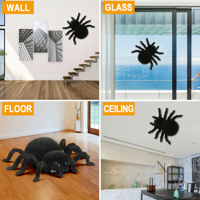 wall climbing spider toy