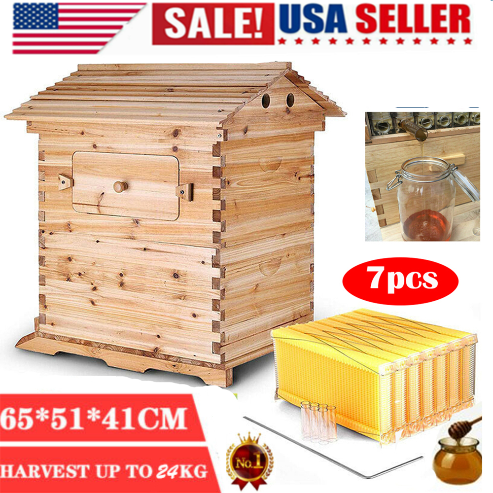 7 Pcs Flowing Honey Beehive Frames Beekeeping Wooden House Up Box Set 