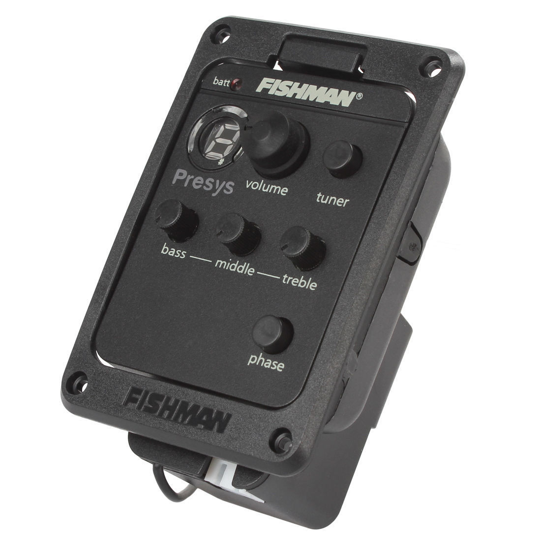 Fishman Acoustic Guitar Pickups