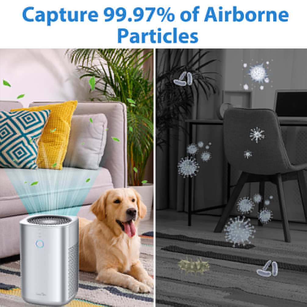 home depot toto