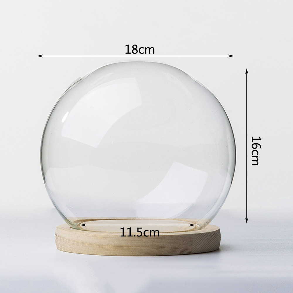 Miniature Glass Bell Dome Bell Jar Cloche with Base for Doll Gift Display Tool 