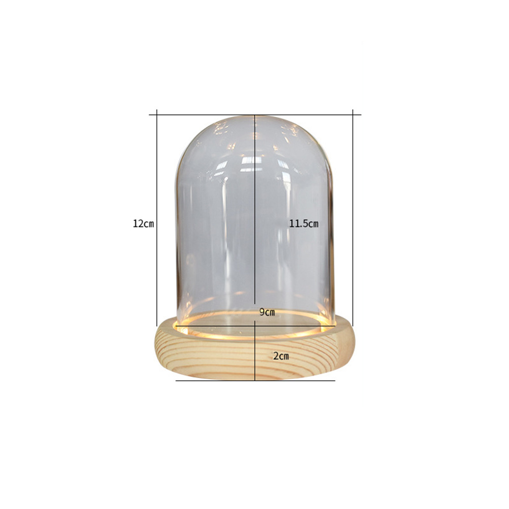 Clear Glass Cloche Bell Jar Dome Landscape Flower Cover Vase Display with Lights 