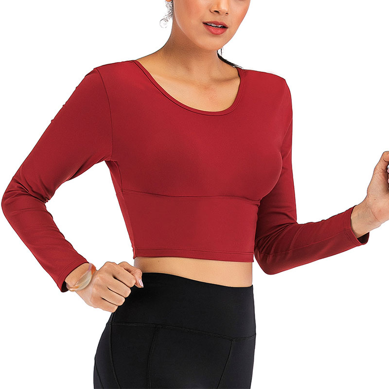 Women Seamless Long Sleeve Yoga Crop Top Running Sports Fitness Gym Workout Tops Ebay 