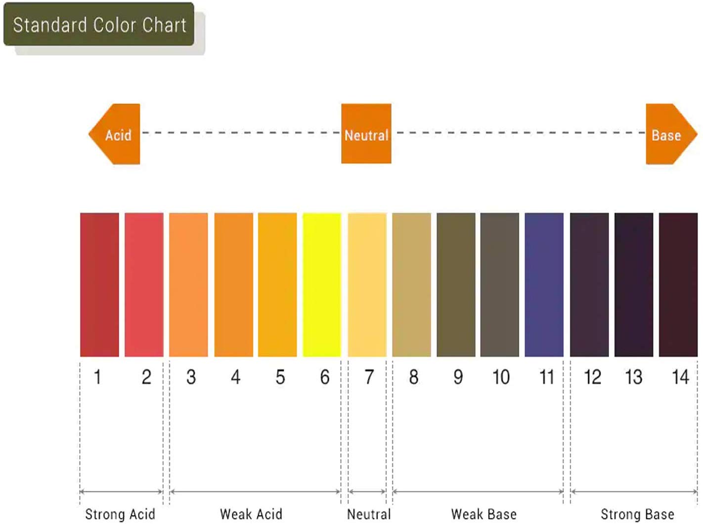 Ph Scale For Litmus Paper Color Mouthwash Foot Soak H - vrogue.co