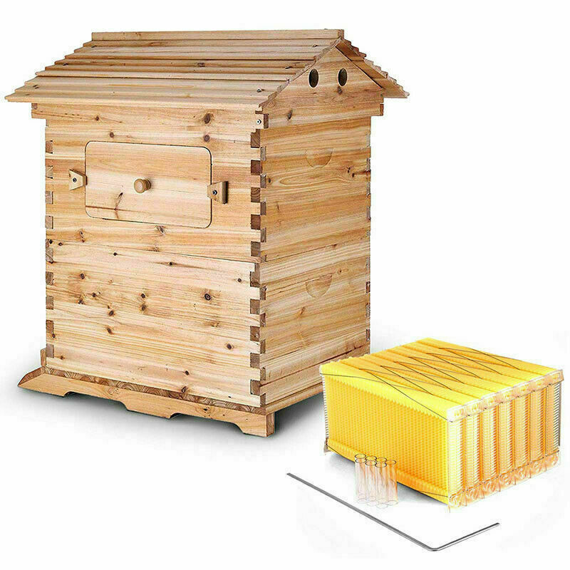 thumbnail 16 - 7Pcs Auto Honey Bee Hive Beehive Frames Beekeeping Brood Cedarwood Box 