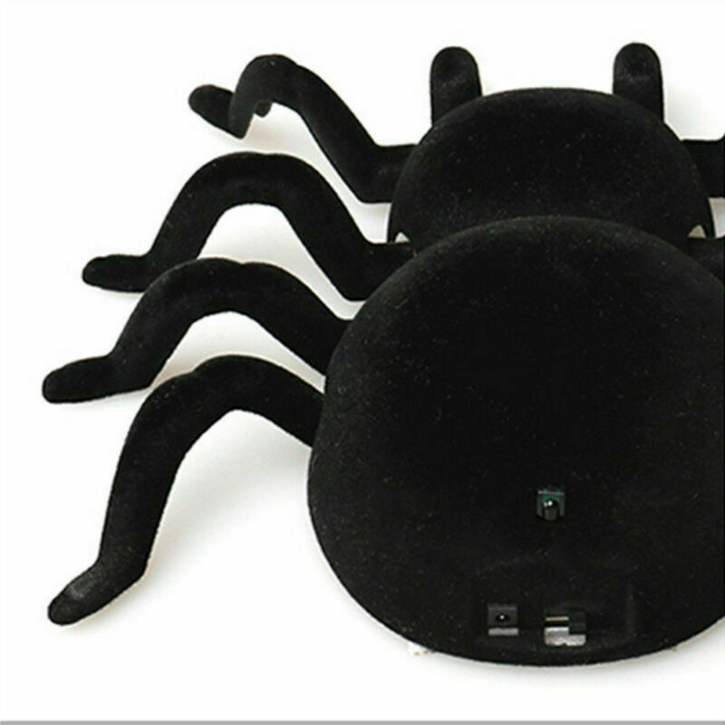 wall climbing spider toy