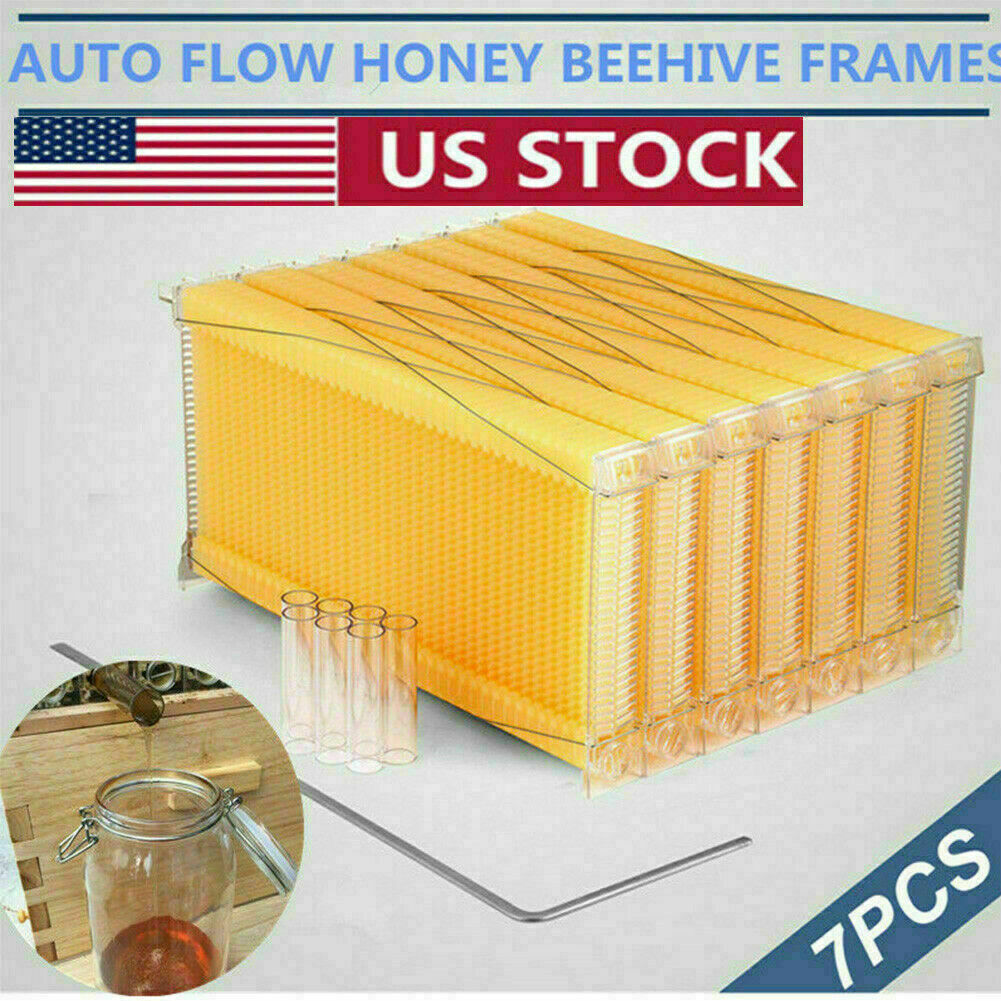 7 PCS Free Flowing Honey Hive Frames US Upgraded Super Beehive Brood Bee House 