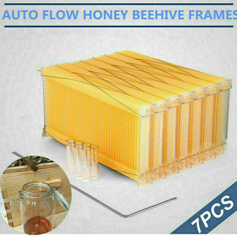 thumbnail 14  - Super Beehive Brood Bee House / 7 Pcs Free Move Honey Hive Frames Honeycomb US