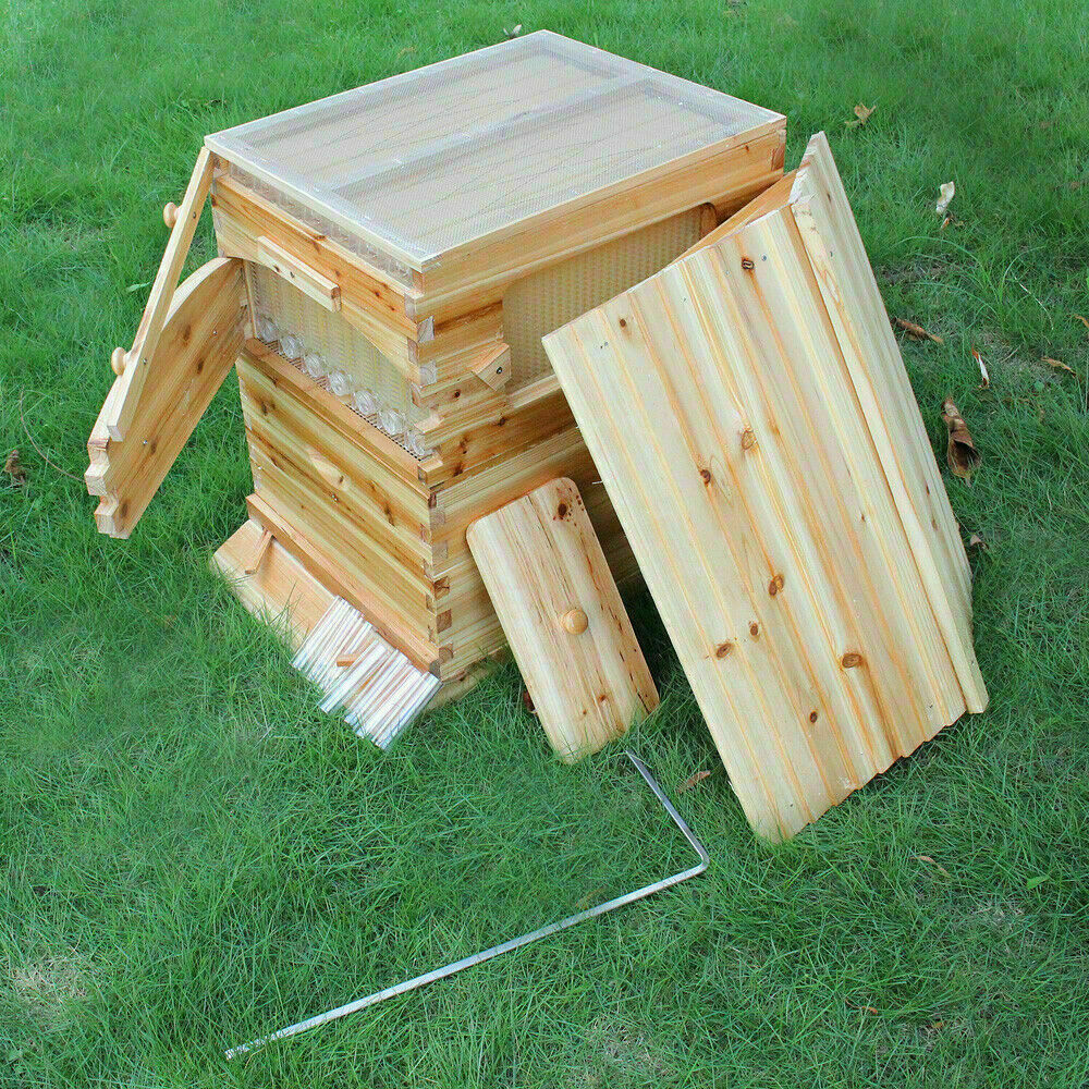 thumbnail 23  - Super Beehive Brood Bee House / 7 Pcs Free Move Honey Hive Frames Honeycomb US